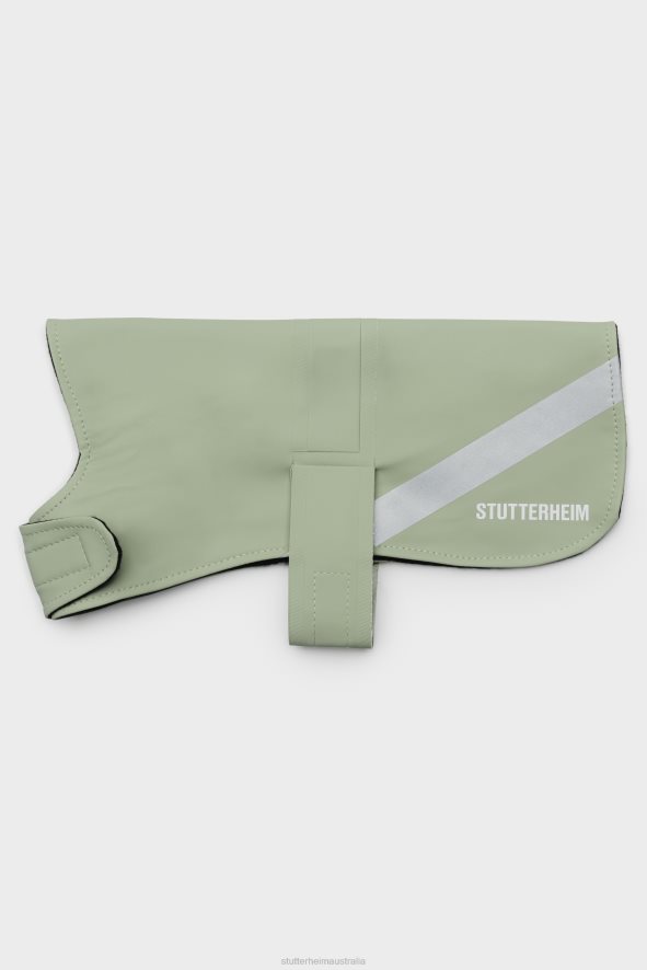 Accessories Dog Raincoat Sage Stutterheim Unisex 0V8X407